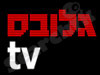גלובס TV 