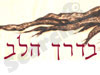 בדרך הלב