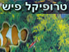 טרופיקל פיש