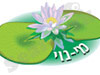 מי-נוי בריכות ומזרקות