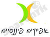 אפיקים פיננסיים 