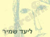 ליעד שמיר