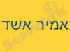 אמיר אשד 