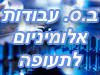 ב.ס. עבודות אלומיניום לתעופה