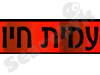 עמית חיו 
