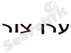 ערן צור
