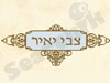 צבי יאיר 