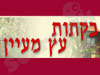 בקתות עץ מעיין