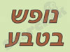 הבקתת אורלי-ואילן באבירים