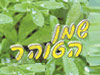 שמן הטוהר