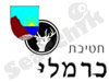 חטיבת כרמלי