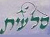 סלעית