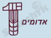 הפועל חיפה