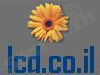 Lcd.co.il 