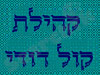 קהילת קול דודי