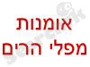 אומנות מפלי הרים
