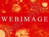 WEBIMAGE 