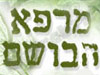 מרפא הבושם