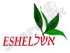 יאיר אשל