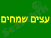 עצים שמחים