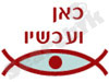 כאן ועכשיו 