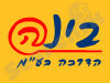 בינה הדרכה 