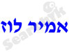 אמיר לוז 