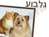 גלבוע אוהבת חיות