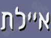 איילת דלתות ומנעולים