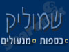 שמוליק כספות מנעולים