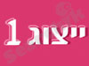ייצוג 1