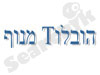 הובלוT מנוף