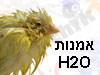 H2O - אמנות
