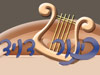 אולמי כינור דויד 