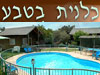 כלנית בטבע