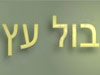 בול עץ