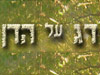 דג על הדן