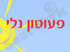 נלי