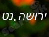 ירושה.נט 