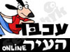 עכבר העיר 