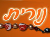 נורית האומנית