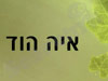 איה הוד 