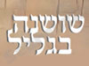 שושנת הגליל