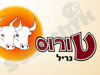 טורוס גריל 