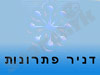דניר פתרונות 