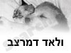 ולאד - אילוף כלבים