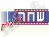 שחר צילום