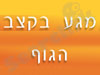 מגע בקצב הגוף 