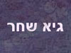 גיא שחר