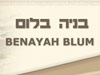 בניה בלום-מורה דרך 